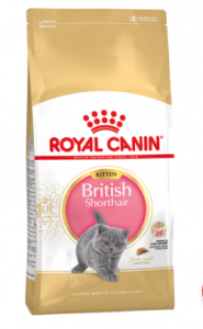 Состав корма для кошек британцев роял канин thumbnail