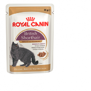 Роял канин для британских кошек сколько давать thumbnail